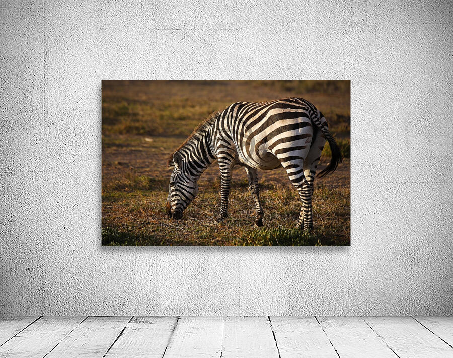 Harmony in Stripes Wall Preview