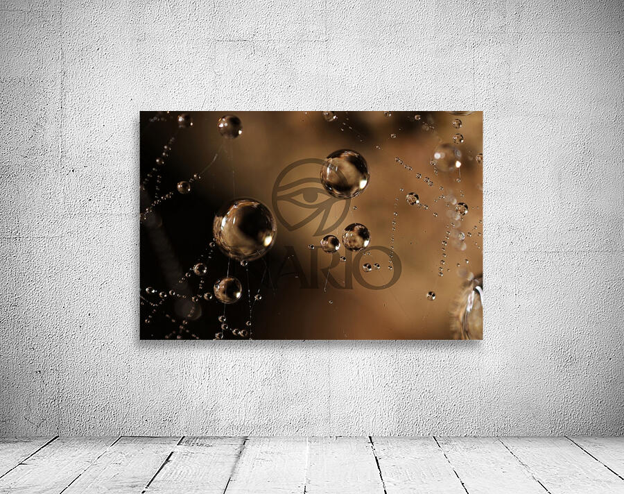 Gravity’s Whisper Wall Preview