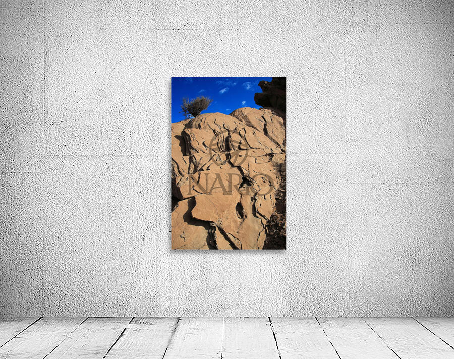 Roots of the Sky Wall Preview