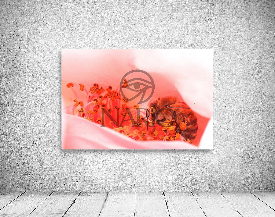 Heart of the Blossom  Wall Preview