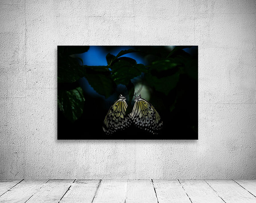 Whispers of Light  Wall Preview