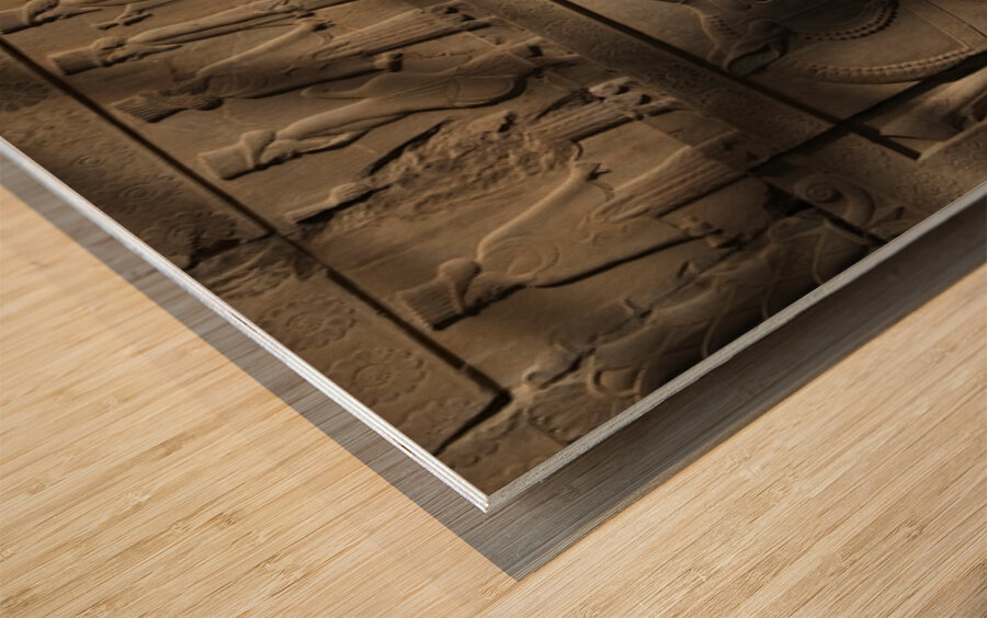 Persepolis Lion & Bull Wood print