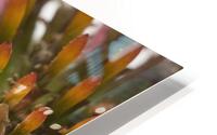 CONE FLOWER PANEL TWO 4FTX5FT  HD Metal print