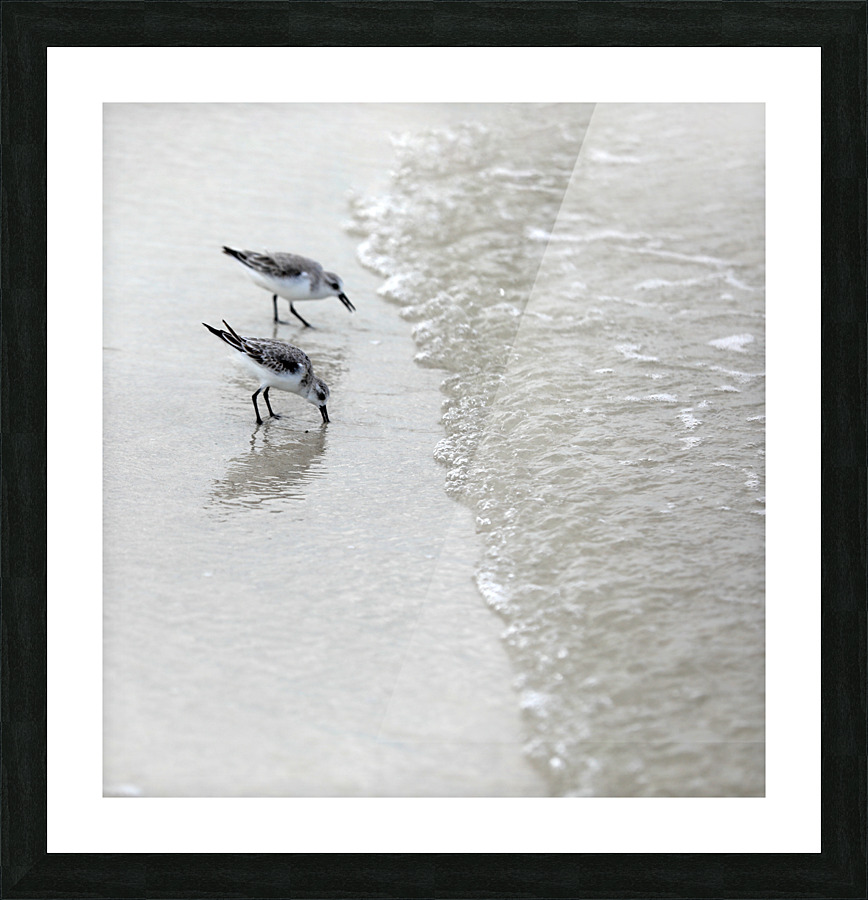 467A3119 Picture Frame print