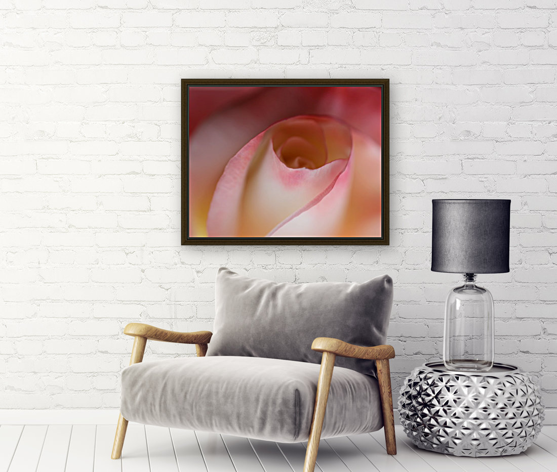 Intimate Rose Reproduction