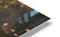 Under the rainbow HD Metal print