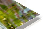 Lilies HD Metal print