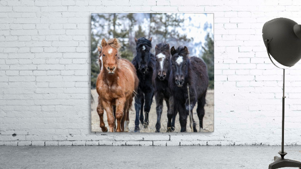 Horses Wall Preview