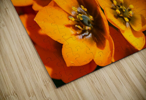 Spring Florals 3 Marya S puzzle