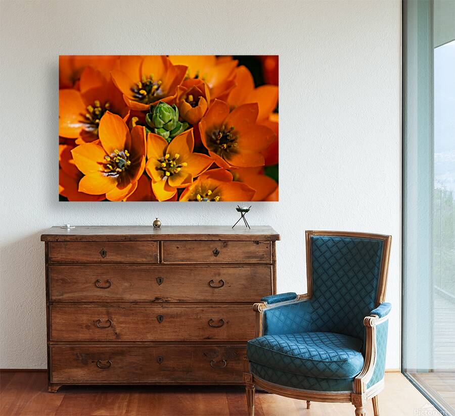 Spring Florals 3 Reproduction