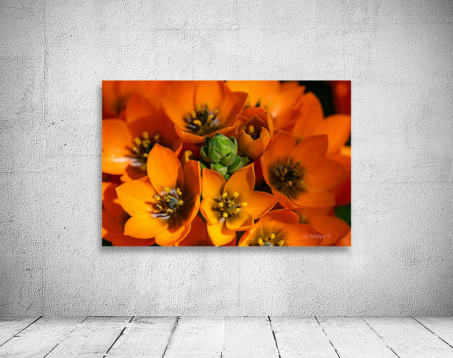 Spring Florals 3 Wall Preview