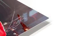 F E R R A R I HD Metal print