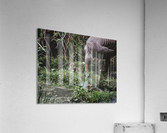 Goslings Acrylic Print
