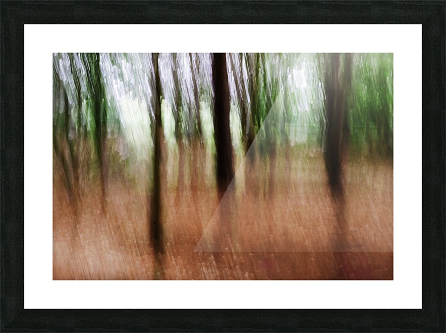 Abstract Forest Picture Frame print