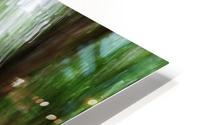 Abstract Forest HD Metal print