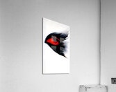 RedBlack Impression acrylique