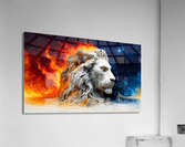 Lion Acrylic Print