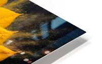 The Book HD Metal print