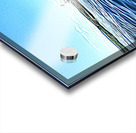 Psychedelic Boat Impression Acrylique