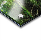 Dry Creek II Impression Acrylique