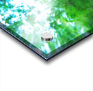 Little Big Mushroom Acrylic print