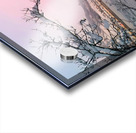 Snowy Sunset On Riversite Acrylic print