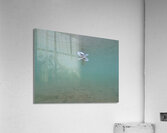 Underwater Pacifier Impression acrylique