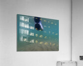 Underwater Tube Reflection Impression acrylique