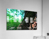 Little Big Mushroom Acrylic Print