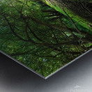 Dry Creek II Impression metal