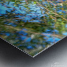 Timmy Dragonfly Metal print