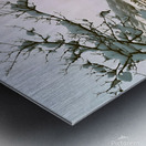 Snowy Sunset On Riversite Vintage Impression metal