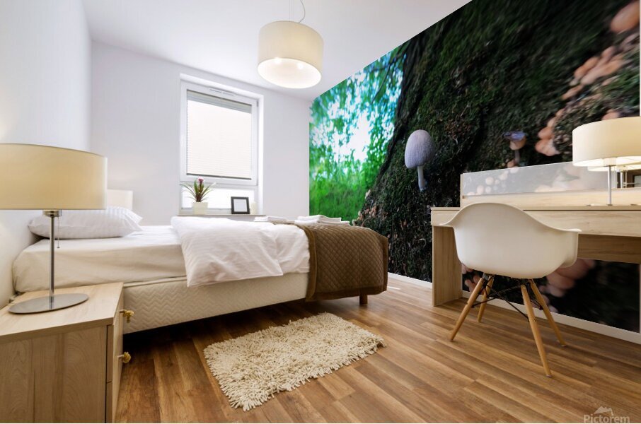 Little Big Mushroom Mural print