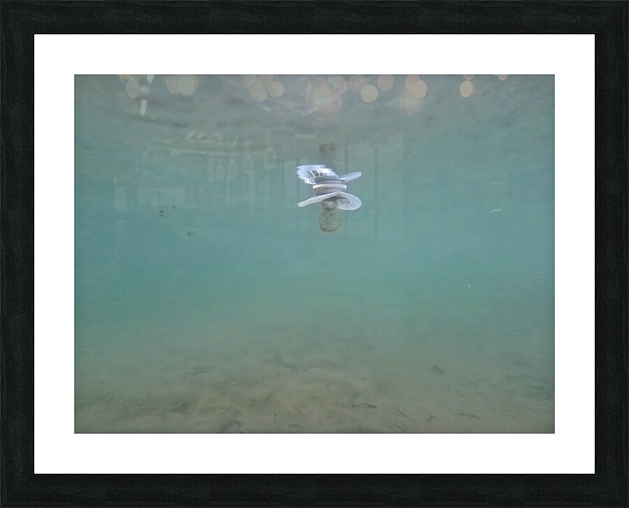 Underwater Pacifier Impression et Cadre photo