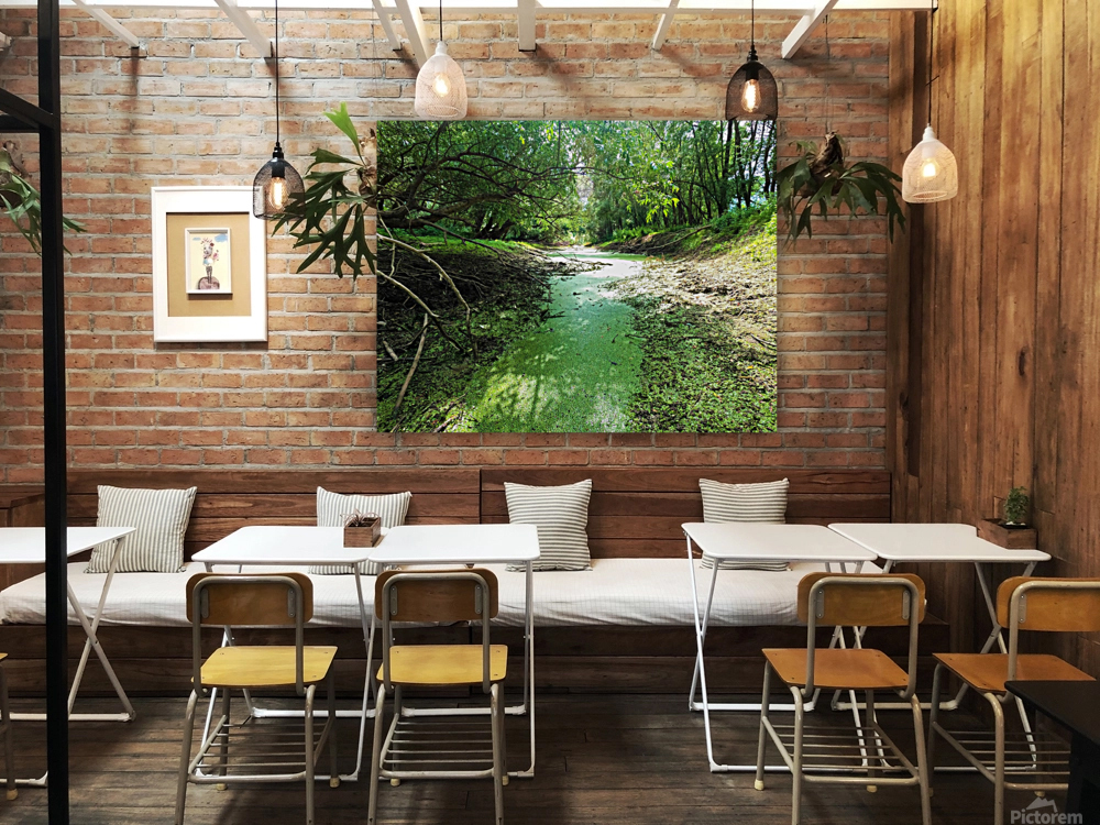 Dry Creek II Reproduction