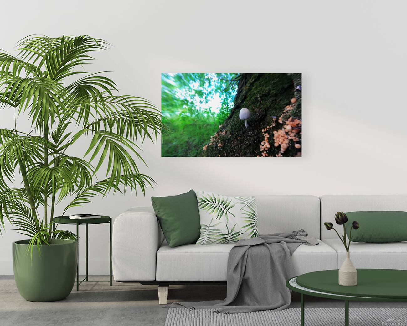 Little Big Mushroom Reproduction