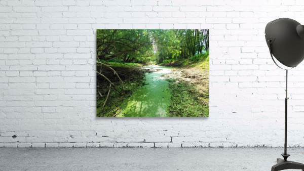 Dry Creek II Aperçu sur mur