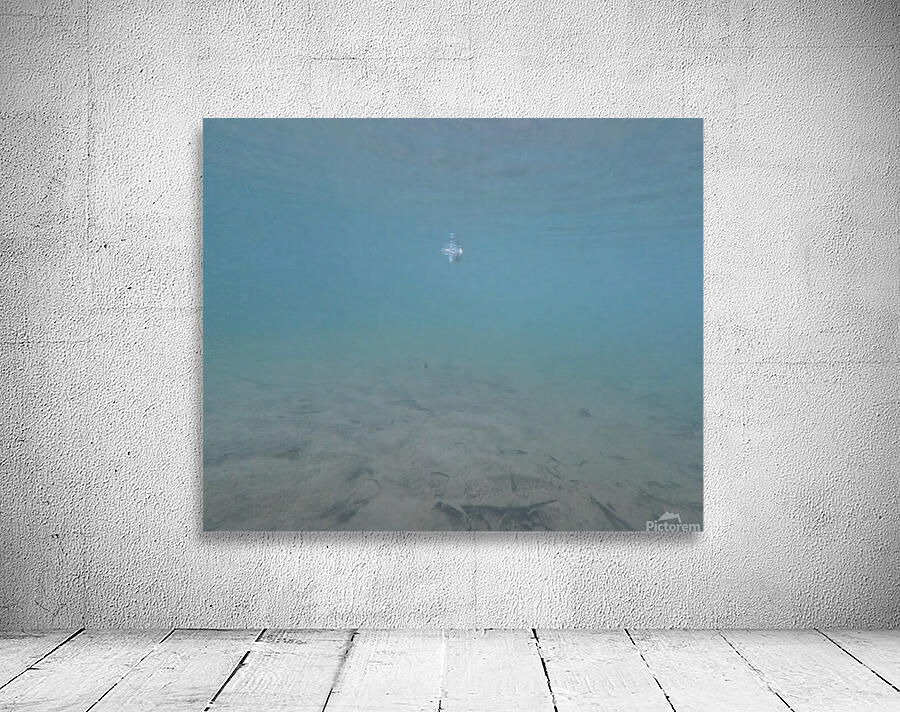 Underwater Pacifier II Aperçu sur mur