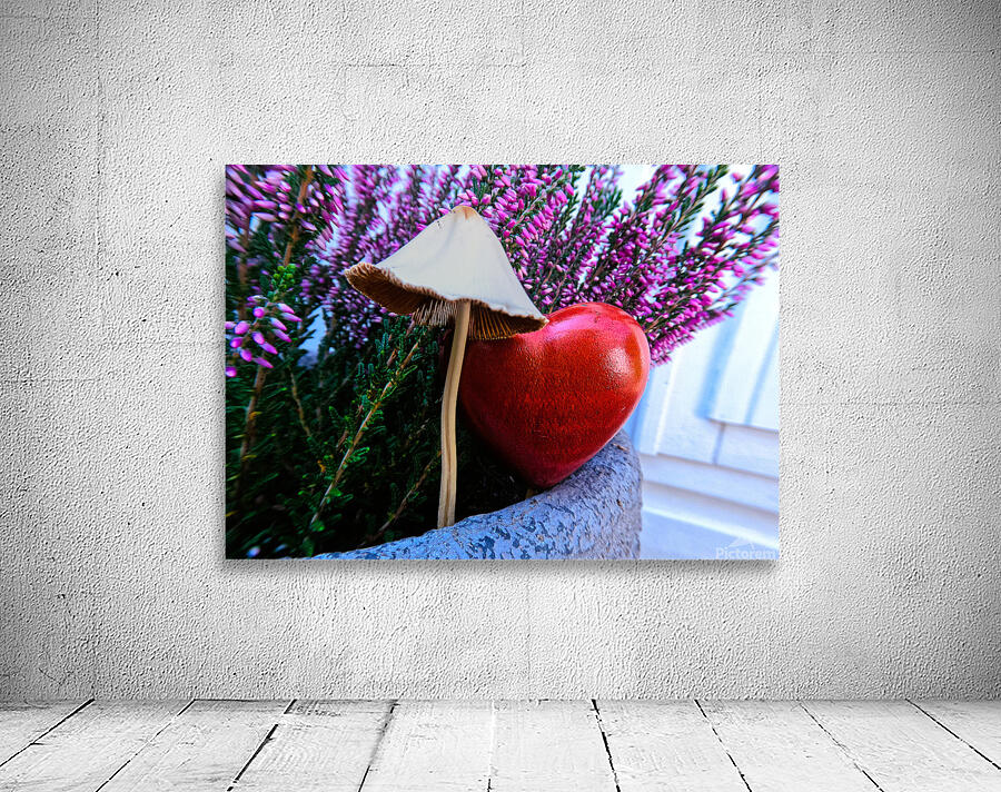 Mothersday Mushroom Aperçu sur mur