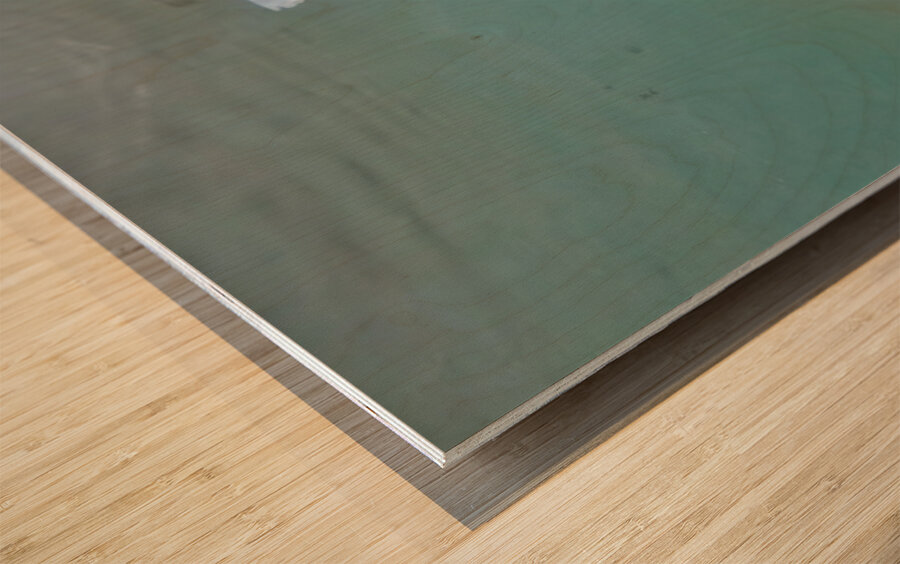 Underwater Pacifier Impression sur bois