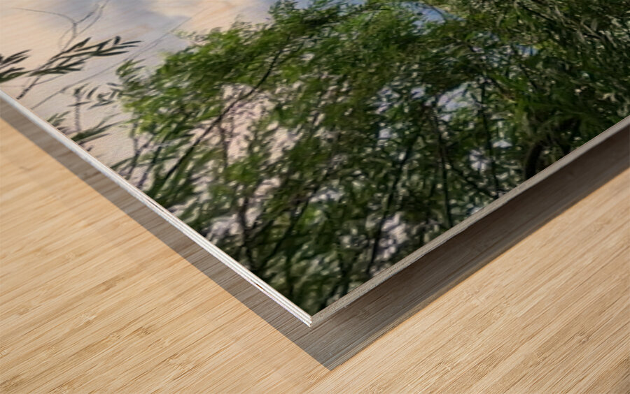 Father Rhein Impression sur bois