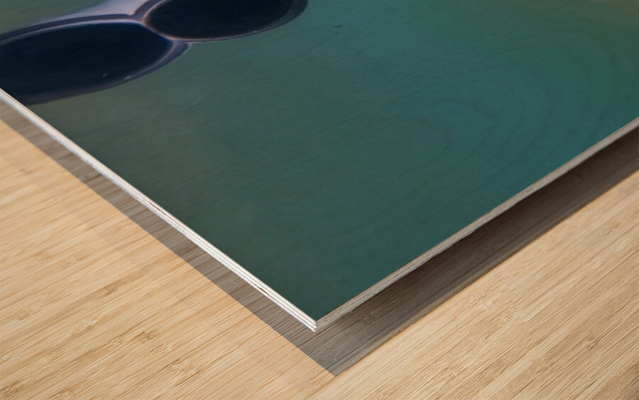 Underwater Tube Reflection Impression sur bois