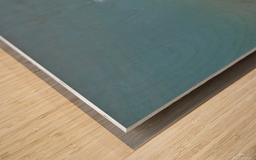 Underwater Pacifier II Impression sur bois