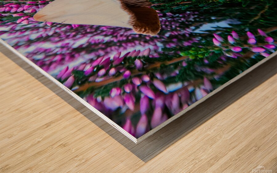 Mothersday Mushroom Impression sur bois