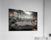 dh00002 Acrylic Print