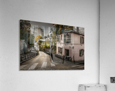 dh00005 Acrylic Print