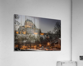 dh00010 Acrylic Print
