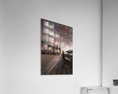 dv00003 Acrylic Print