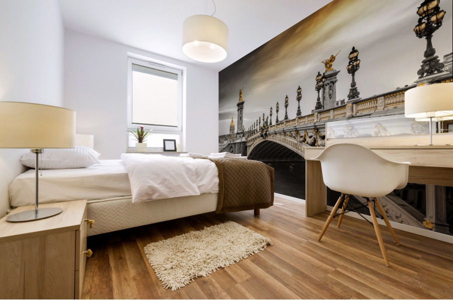 dh00003 Mural print
