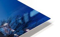 ch00007 HD Metal print